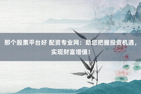 那个股票平台好 配资专业网：助您把握投资机遇，实现财富增值！