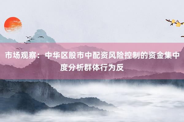 市场观察：中华区股市中配资风险控制的资金集中度分析群体行为反
